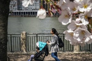 Cleaner Air, Smarter Toddlers